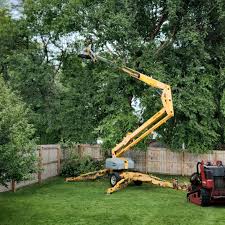Best Stump Grinding and Removal  in Mustang Ridge, TX