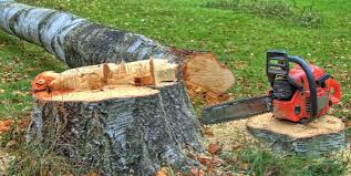 Mustang Ridge, TX Tree Services Company