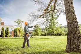 Best Lawn Renovation and Restoration  in Mustang Ridge, TX