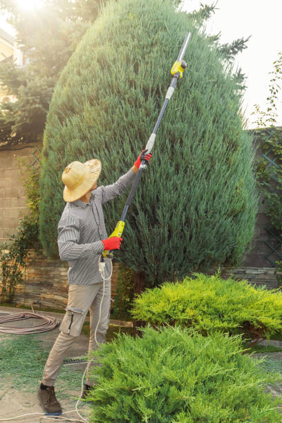 Best Tree Preservation Services  in Mustang Ridge, TX